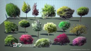 2D plant models in sketch-style for landscape design, set 1 (17 pcs)