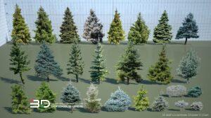 2D models of conifer trees and shrubs for landscape design, set 12 (26 pcs)