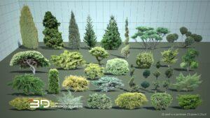 2D models of conifer trees and shrubs for landscape design, set 6 (31 pcs)