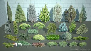 2D models of conifer trees and shrubs for landscape design, set 7 (29 pcs)