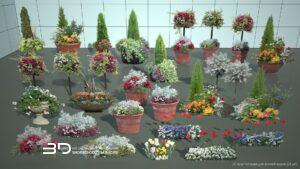 2D models of annual and bulbous plants for landscape design (28 pcs)