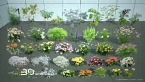 2D models of annual and bulbous plants for landscape design, set 2 (37 pcs)