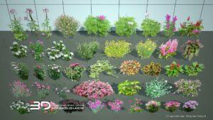 2D models of annual and bulbous plants for landscape design, set 3 (42 pcs)