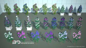 3D models of shrubs and vines for landscape design (24 pcs)
