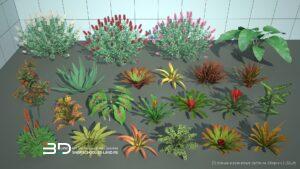 3D models of tropical and indoor plants for landscape design, set 3 (22 pcs)