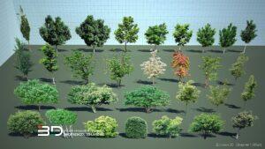 2D models of broadleaf trees for landscape design, set 1 (30 pcs)