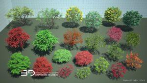 3D models of broadleaf trees for landscape design, set 1 (22 pcs)