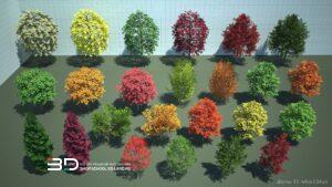 3D models of broadleaf trees for landscape design, set 2 (24 pcs)