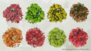 Pastel-style raster plants for landscape design plans, set 1 (8 pcs)