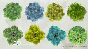 Pastel-style raster plants for landscape design plans, set 2 (8 pcs)