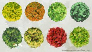 Pastel-style raster plants for landscape design plans, set 3 (8 pcs)