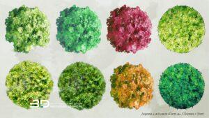 Pastel-style raster plants for landscape design plans, set 4 (8 pcs)