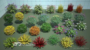 3D models of shrubs and vines for landscape design, set 1 (28 pcs)