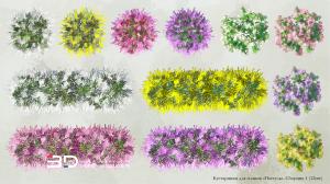 Pastel-style raster plants for landscape design plans, set 5 (12 pcs)