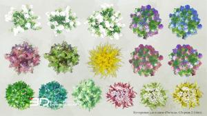 Pastel-style raster plants for landscape design plans, set 6 (16 pcs)