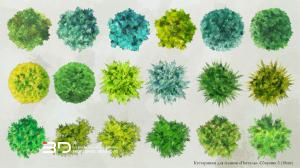 Pastel-style raster plants for landscape design plans, set 7 (18 pcs)