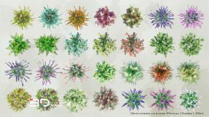 Pastel-style raster plants for landscape design plans, set 9 (28 pcs)