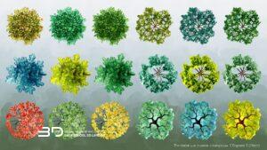 Watercolor-style raster plants for landscape design plans, set 2 (18 pcs)