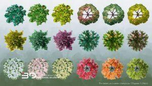 Watercolor-style raster plants for landscape design plans, set 3 (18 pcs)