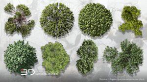 Realistic raster plants for landscape design plans, set 1 (8 pcs)