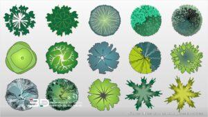 Vector plants for landscape design plans, set 2 (15 pcs)