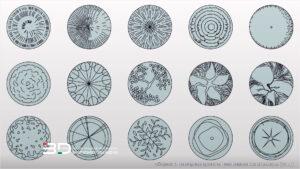 Vector plants for landscape design plans monochrome, set 2 (15 pcs)
