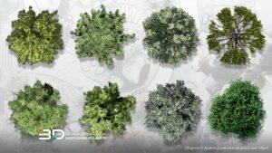 Realistic raster plants for landscape design plans, set 3 (8 pcs)