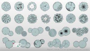 Vector plants for landscape design plans monochrome, set 3 (25 pcs)
