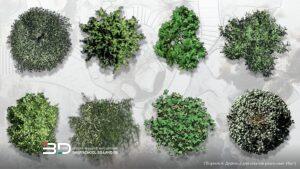 Realistic raster plants for landscape design plans, set 4 (8 pcs)