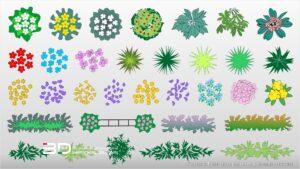 Vector plants for landscape design plans, set 4 (33 pcs)