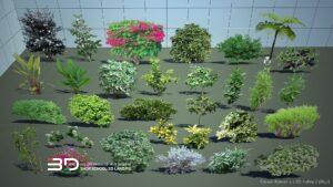 2D models of tropical and indoor plants for landscape design, set 2 (30 pcs)